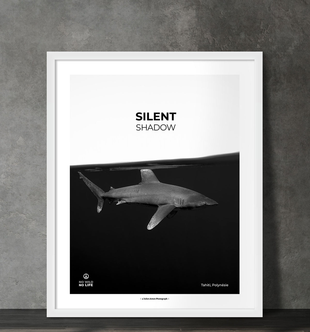 Silent shadow