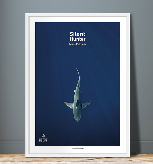 Silent Hunter