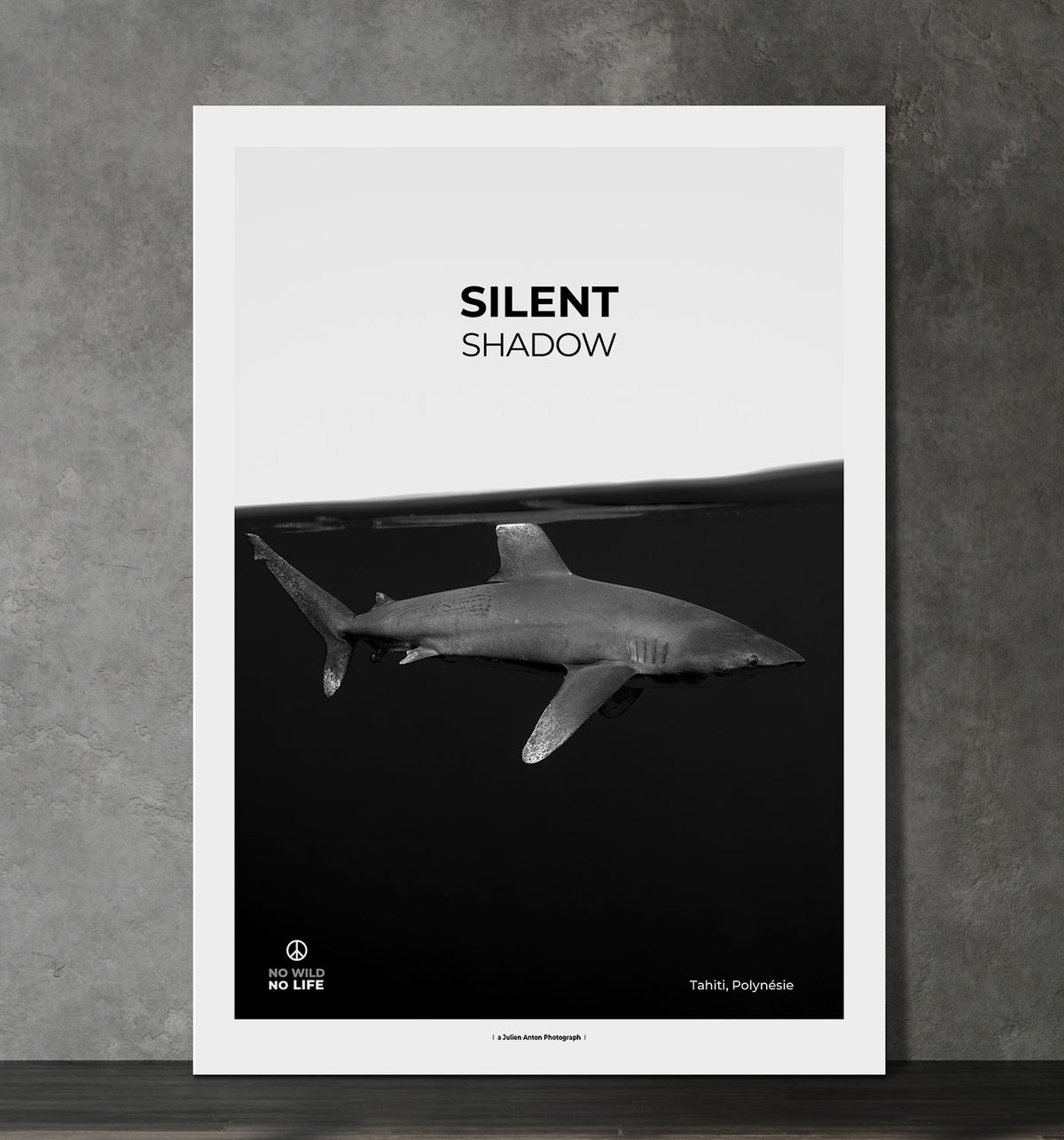 Silent shadow