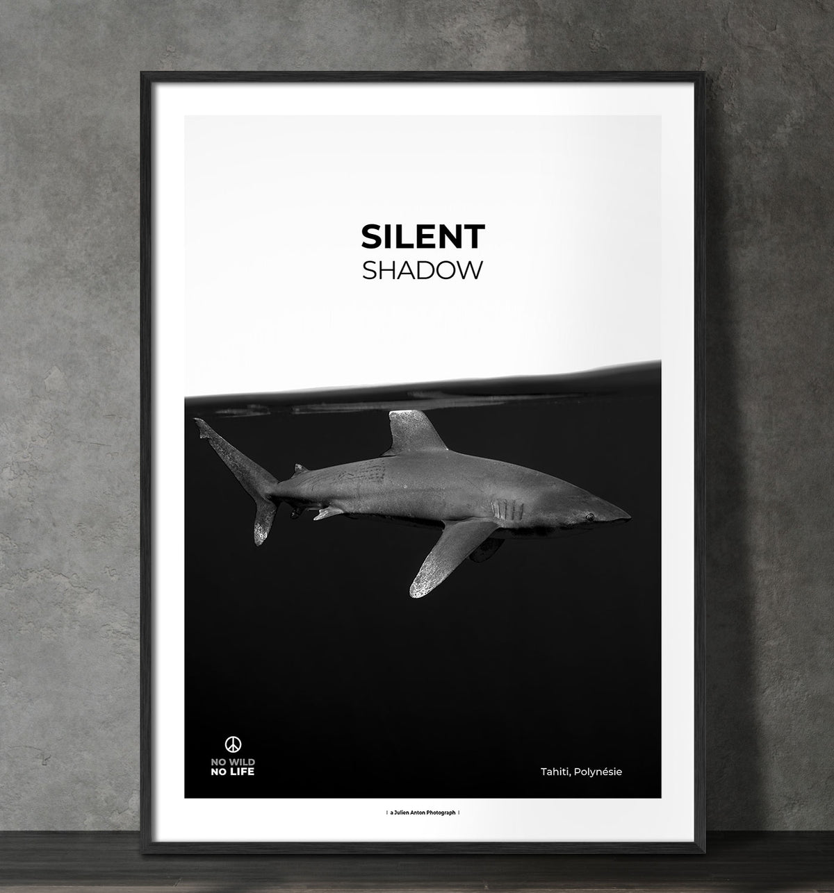 Silent shadow