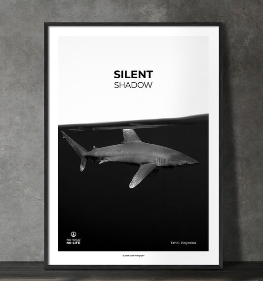Silent shadow
