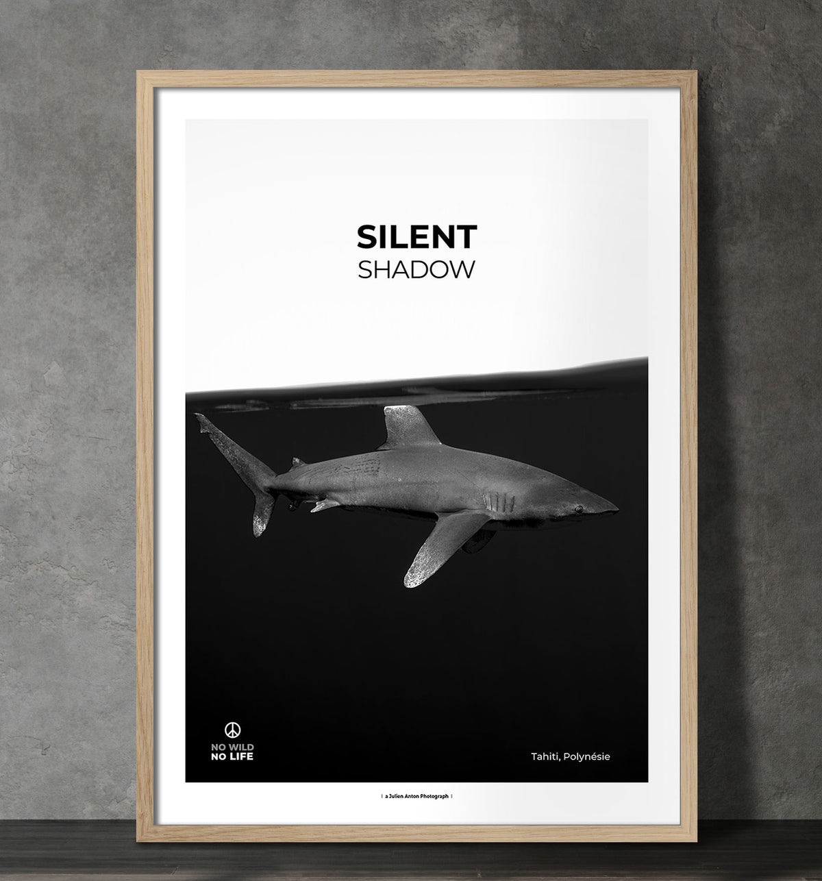 Silent shadow