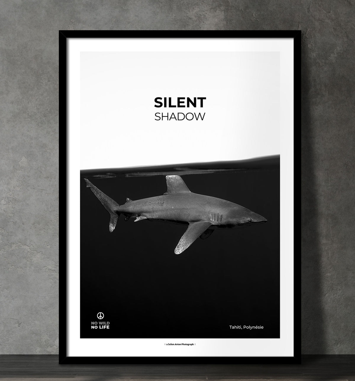 Silent shadow