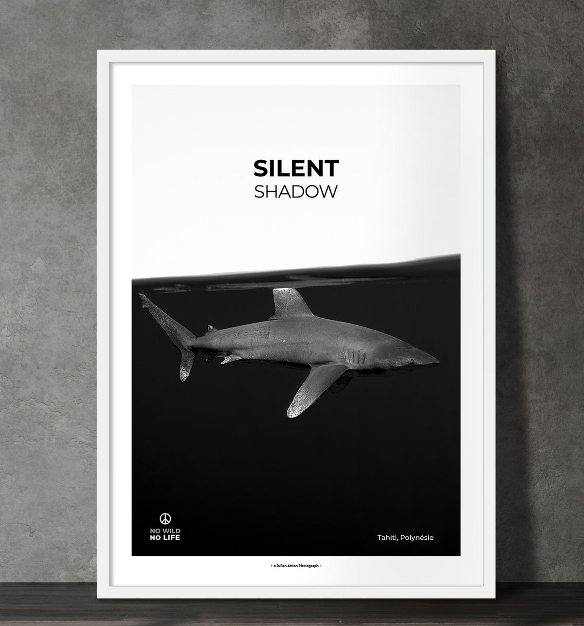 Silent shadow
