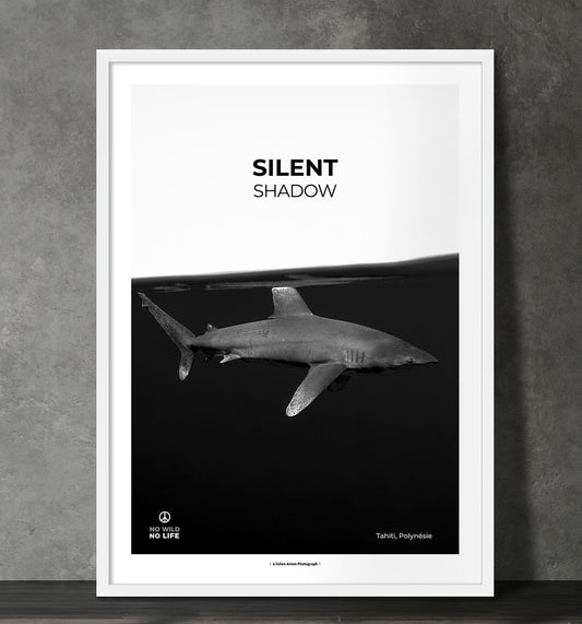 Silent shadow