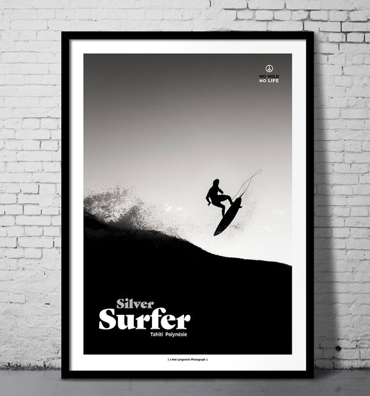 Silver surfer