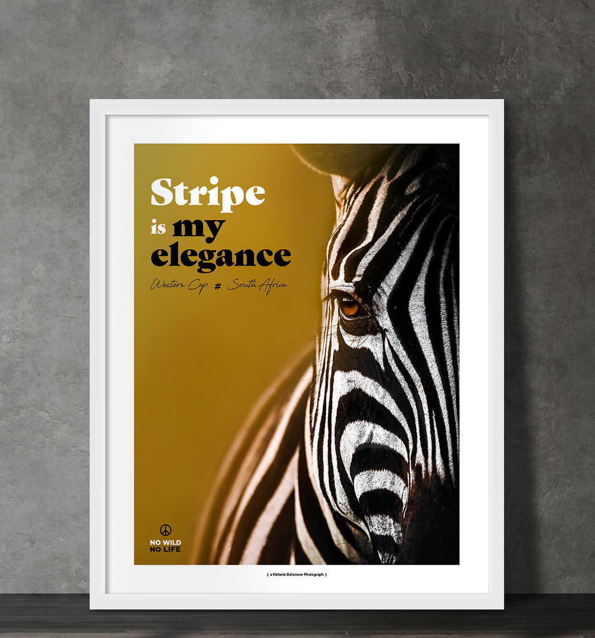 Stripe is my Elegance