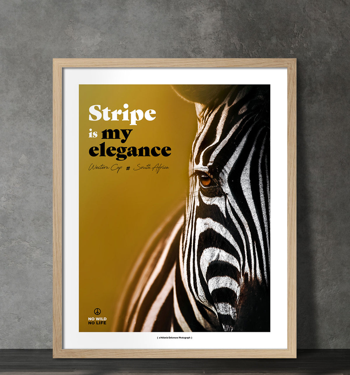 Stripe is my Elegance