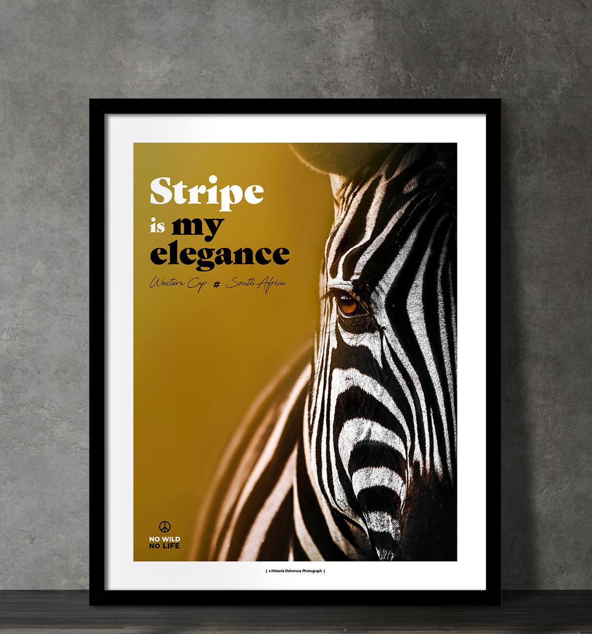 Stripe is my Elegance