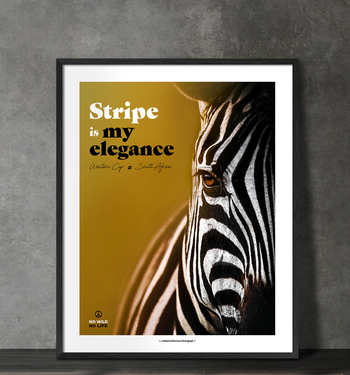 Stripe is my Elegance