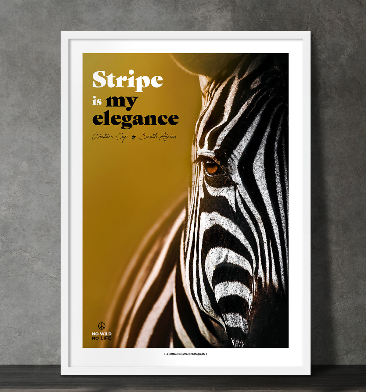 Stripe is my Elegance