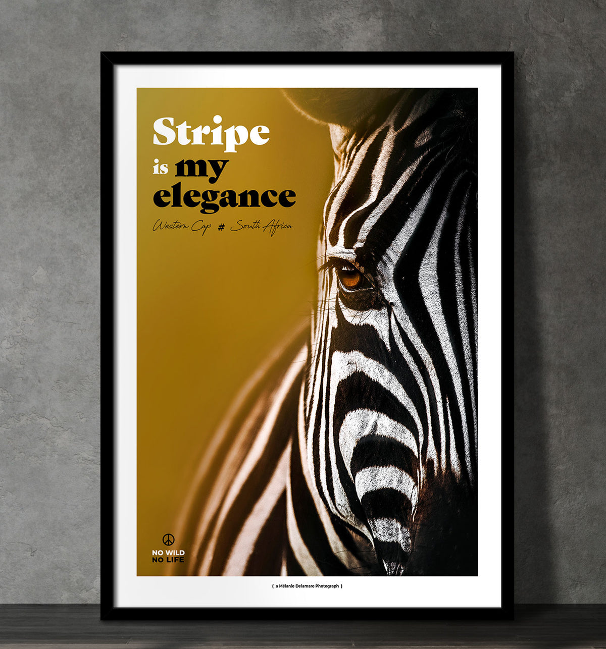 Stripe is my Elegance