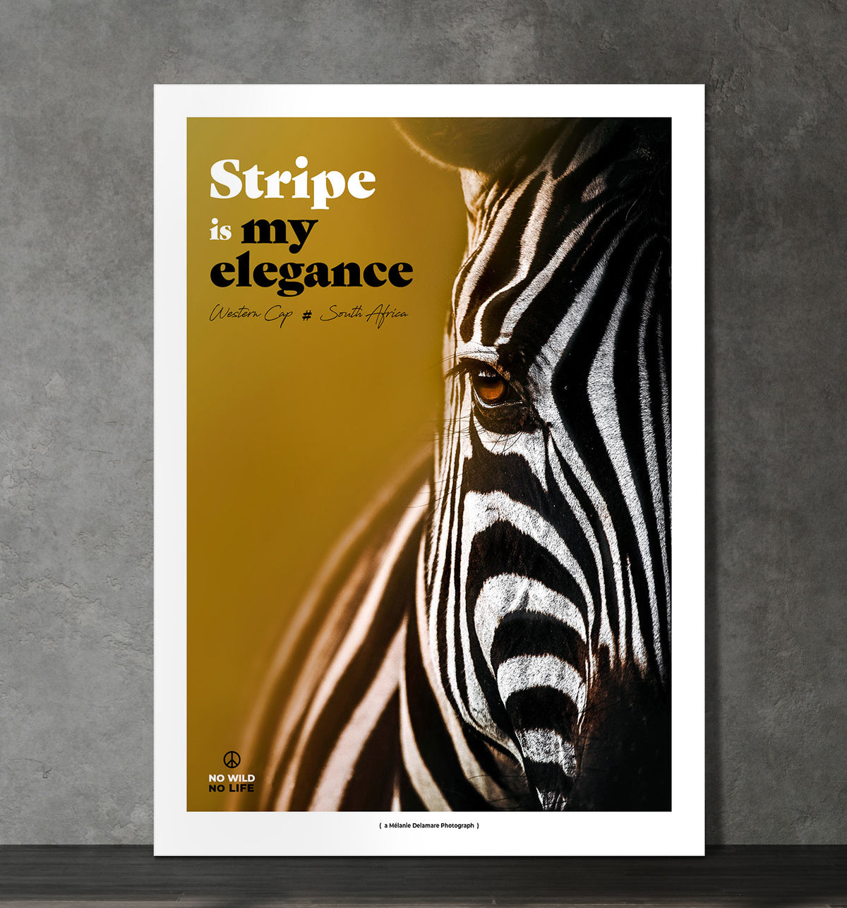 Stripe is my Elegance