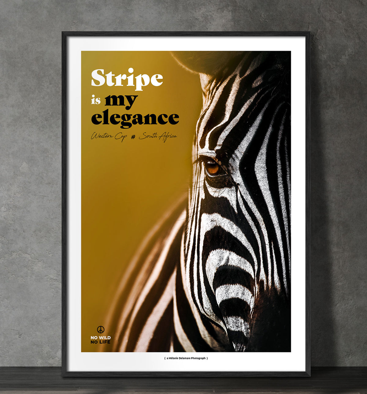 Stripe is my Elegance
