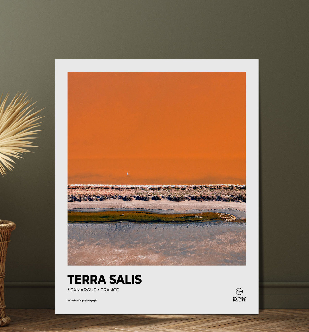 Terra Salis