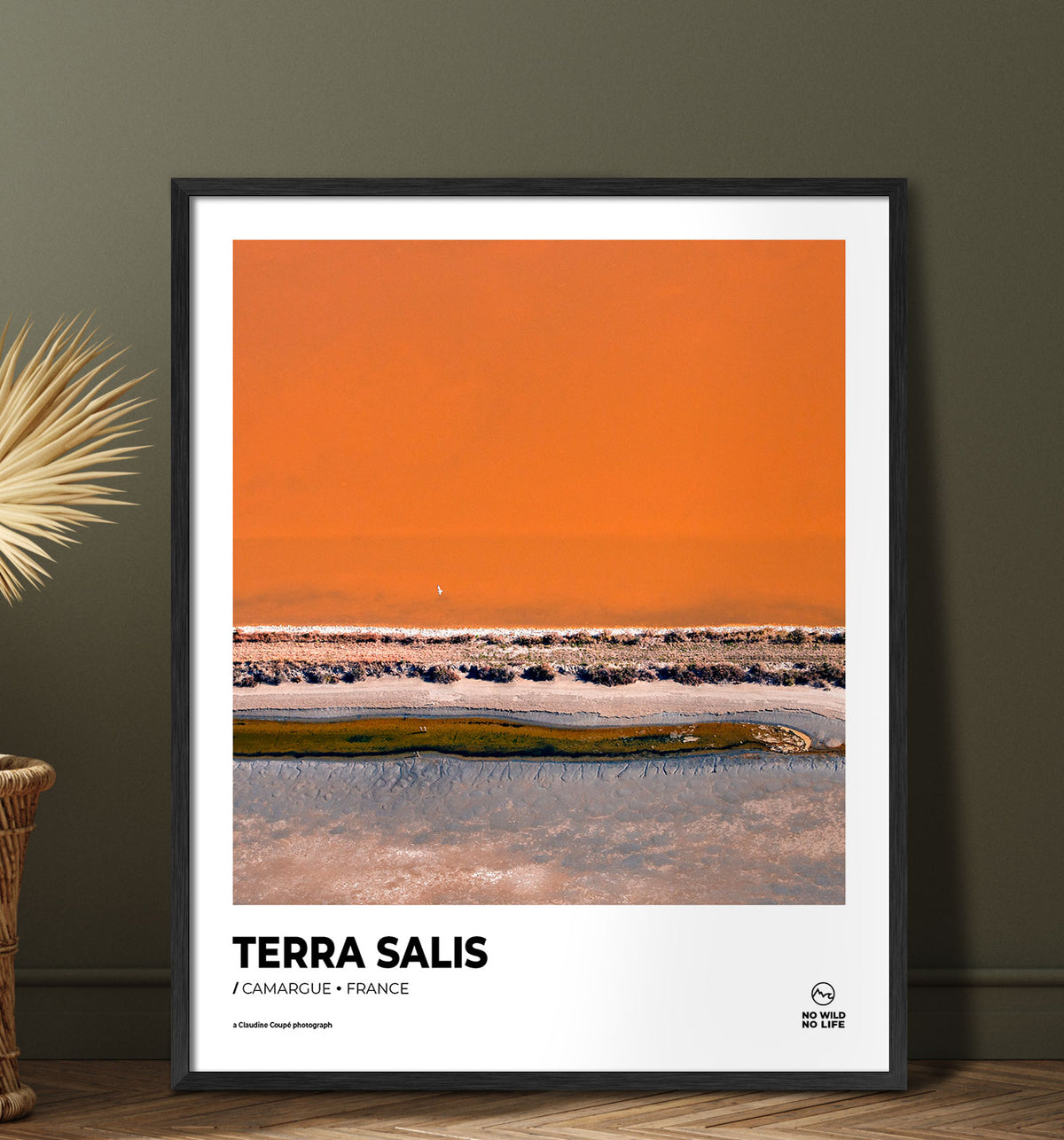 Terra Salis