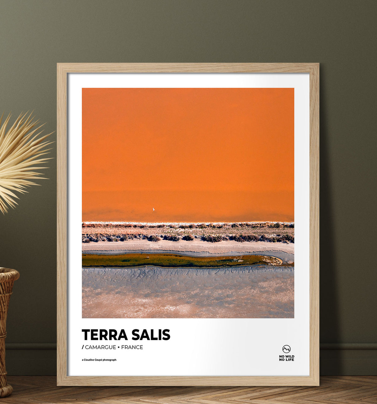 Terra Salis