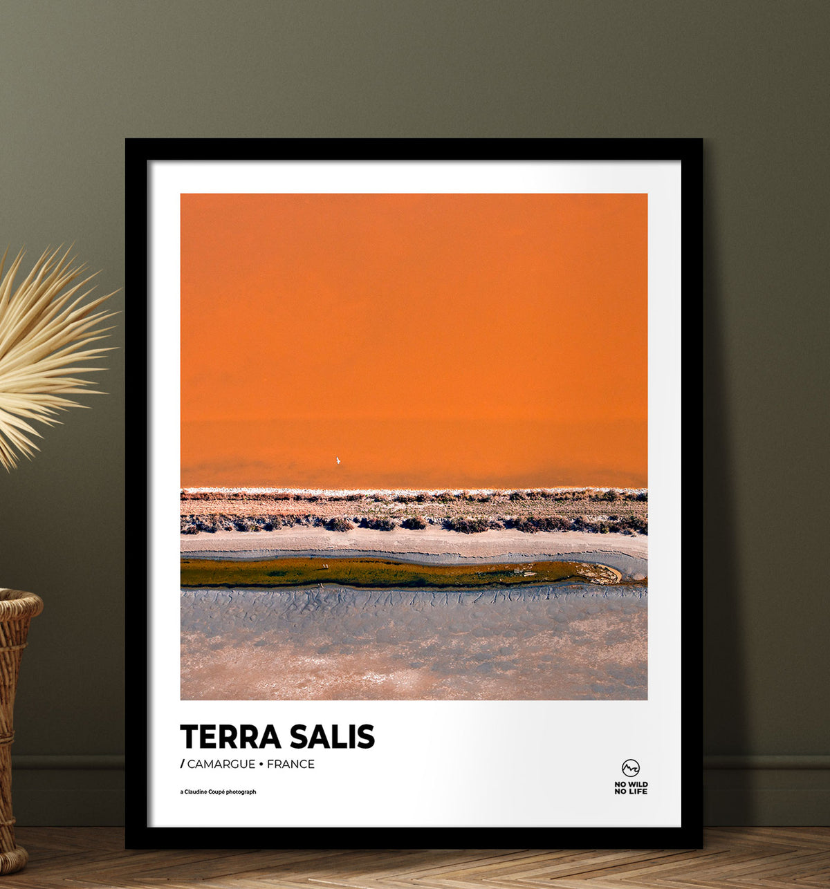 Terra Salis