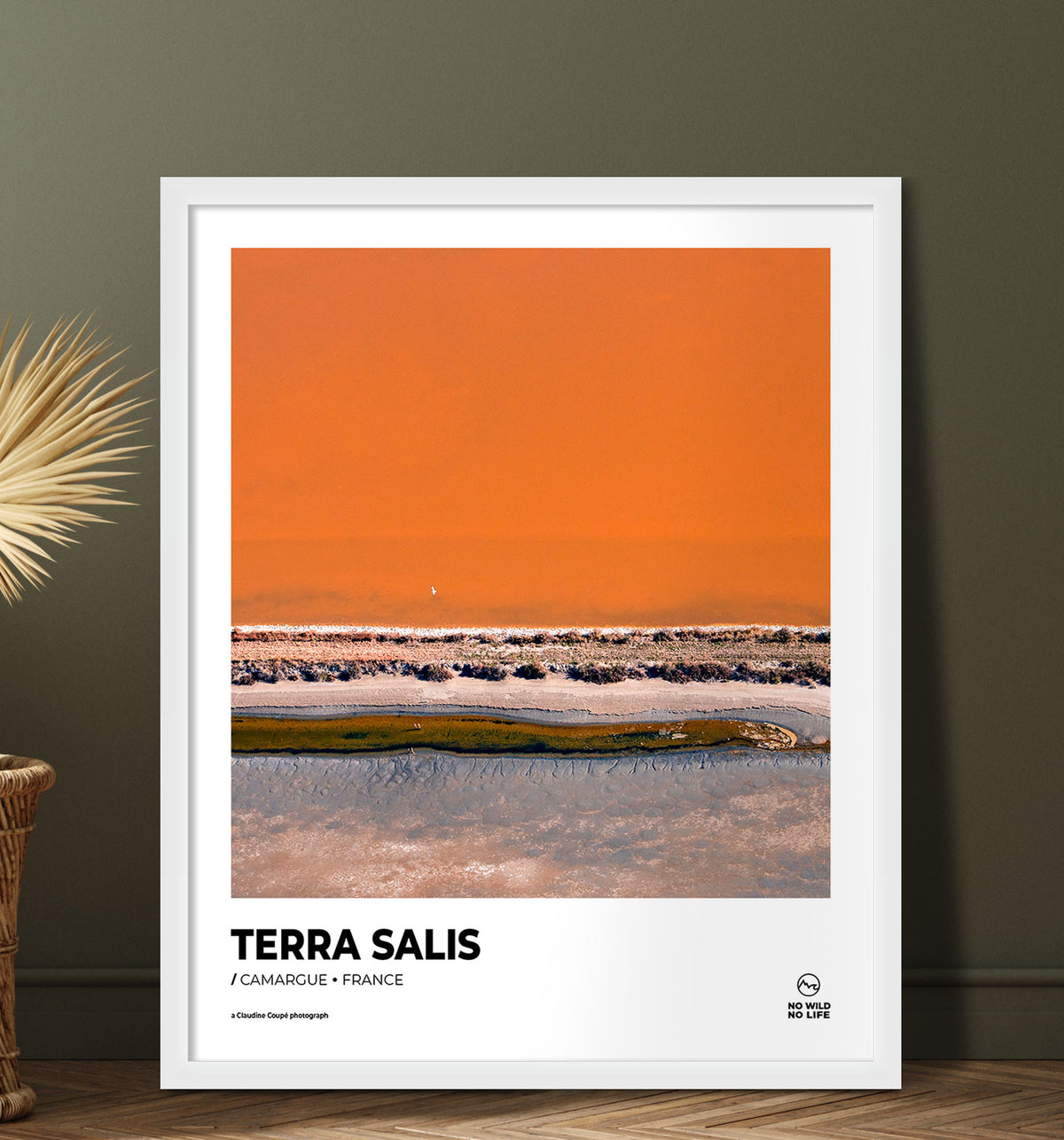 Terra Salis