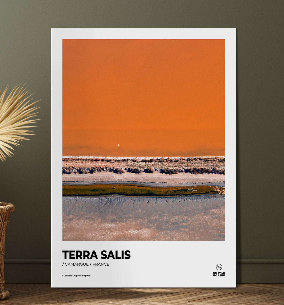 Terra Salis