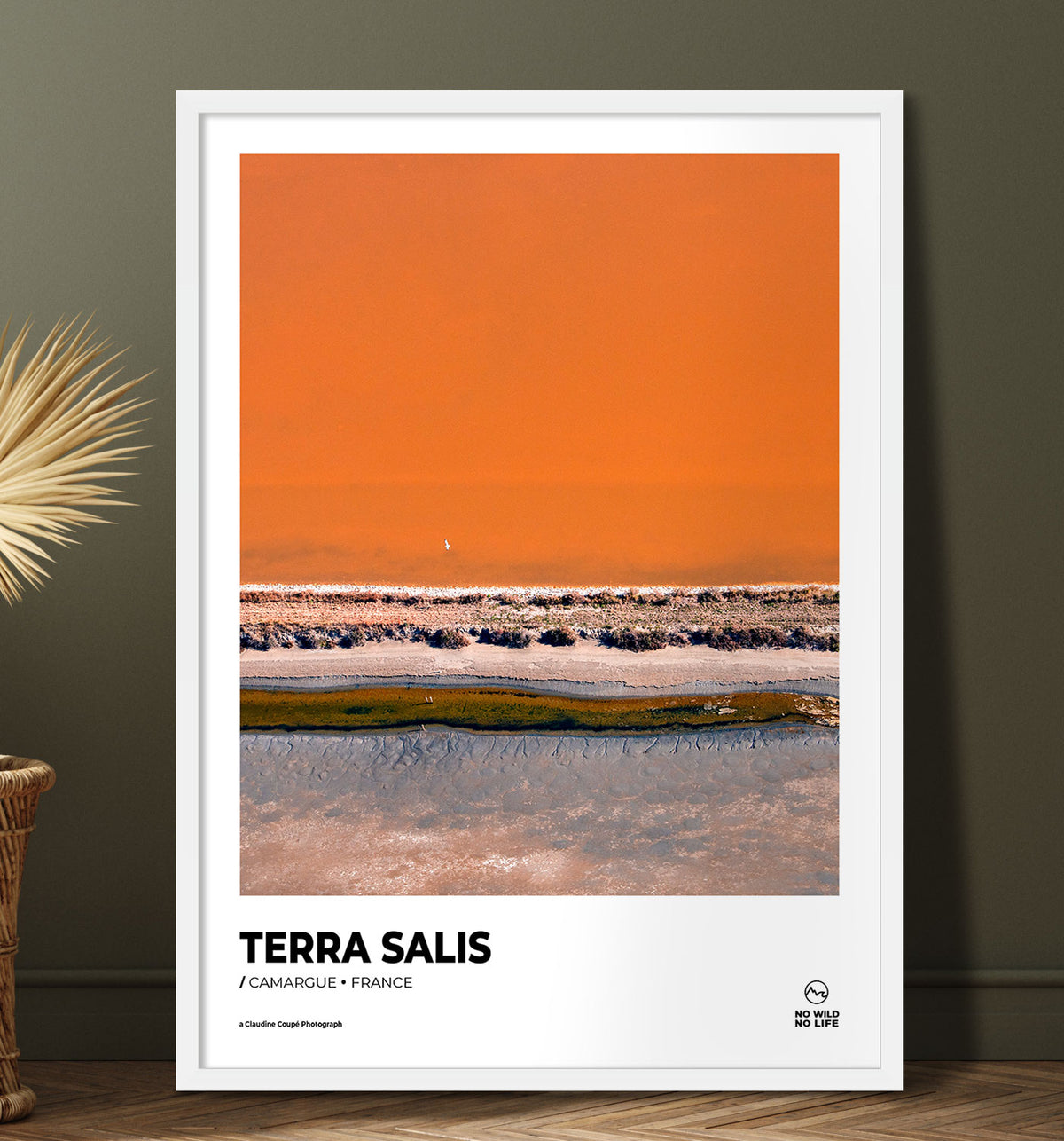 Terra Salis