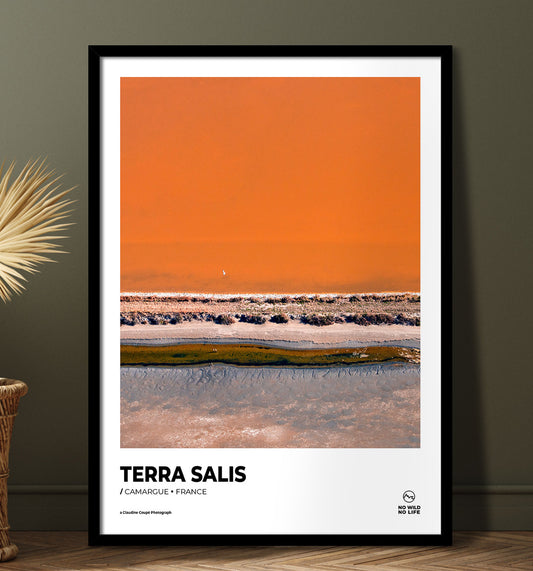 Terra Salis