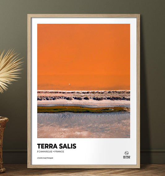 Terra Salis