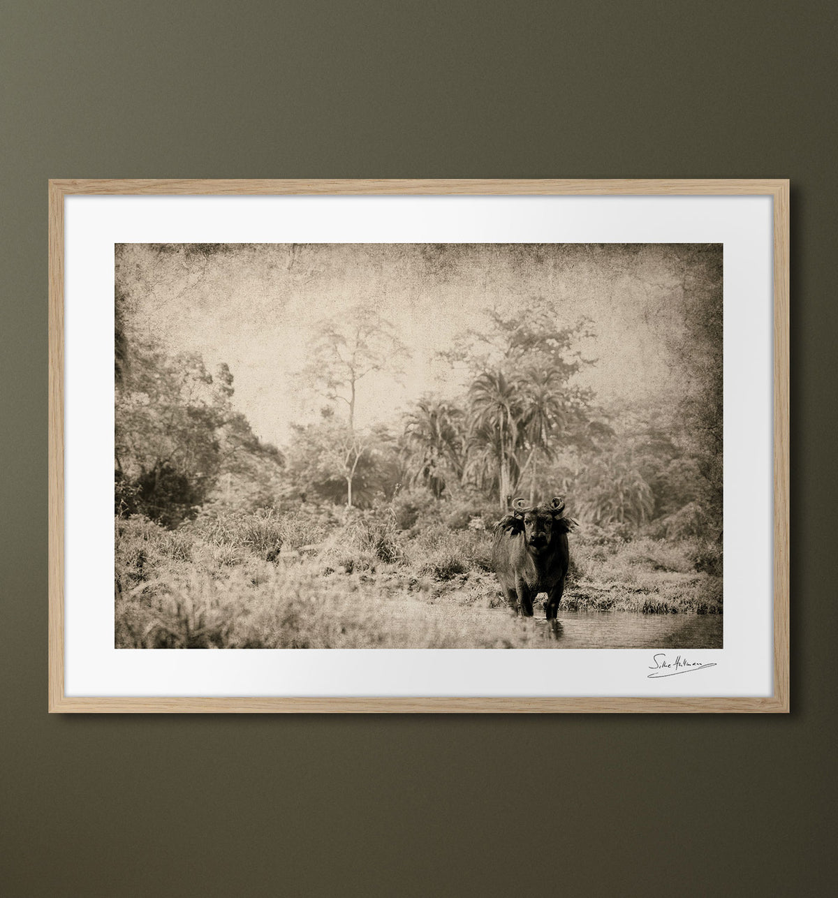ambiance-no-gallery