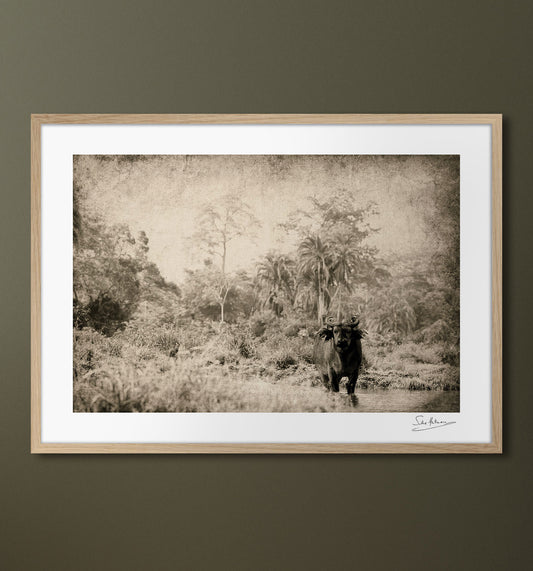 ambiance-no-gallery