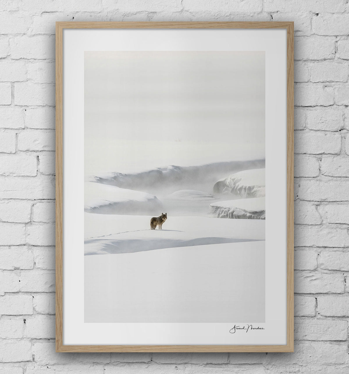 ambiance-no-gallery