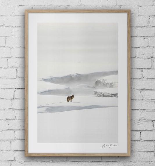 ambiance-no-gallery